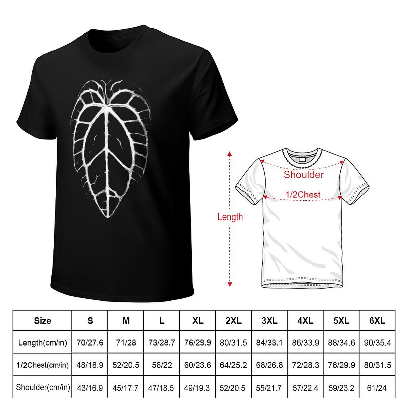 ANTHURIUM CRYSTALLINUM VEINS T - مراجعة Anthurium Crystallinum وسعره