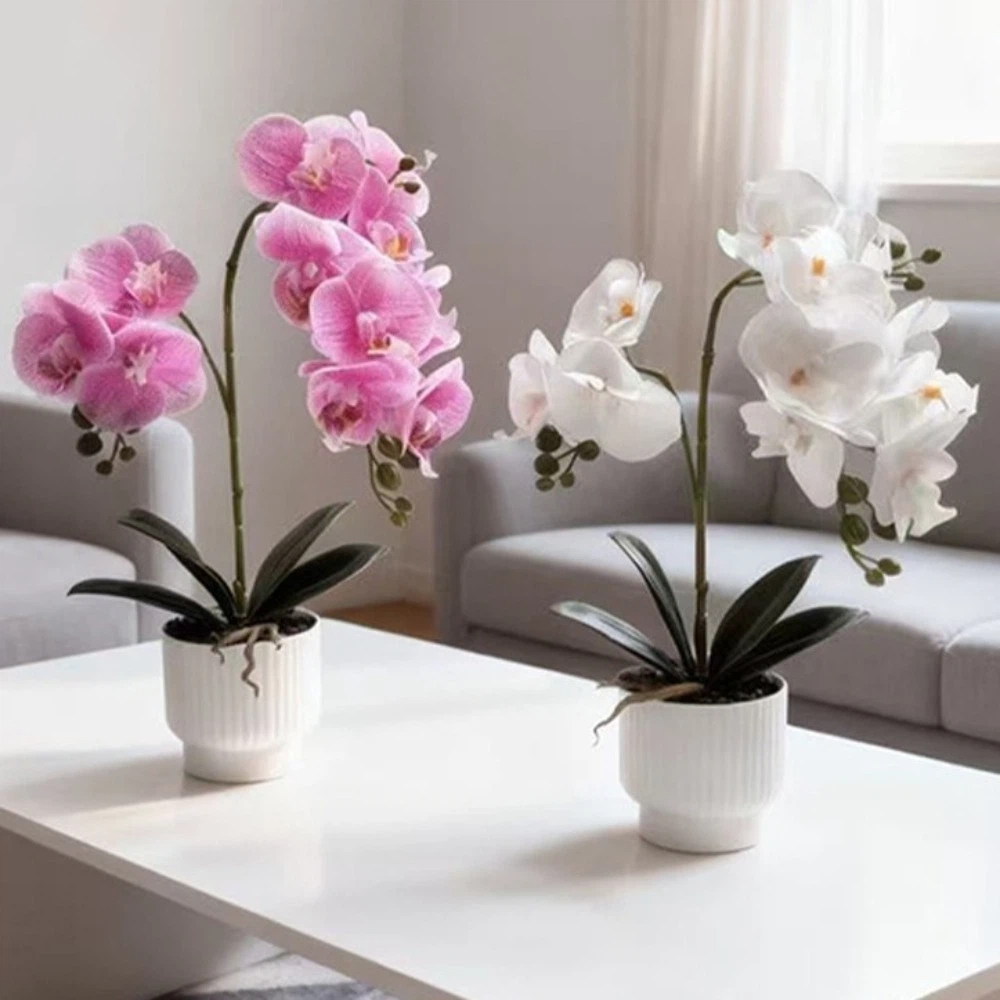 Multi-Bloom Simulated Butterfl - مراجعة Orchid Phalaenopsis وسعره