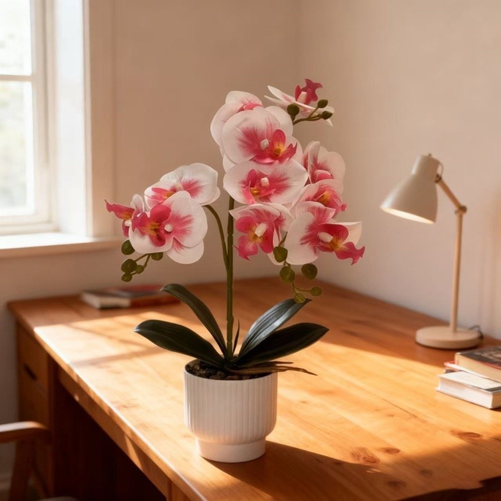 Multi-Bloom Simulated Butterfl - مراجعة Orchid Phalaenopsis وسعره