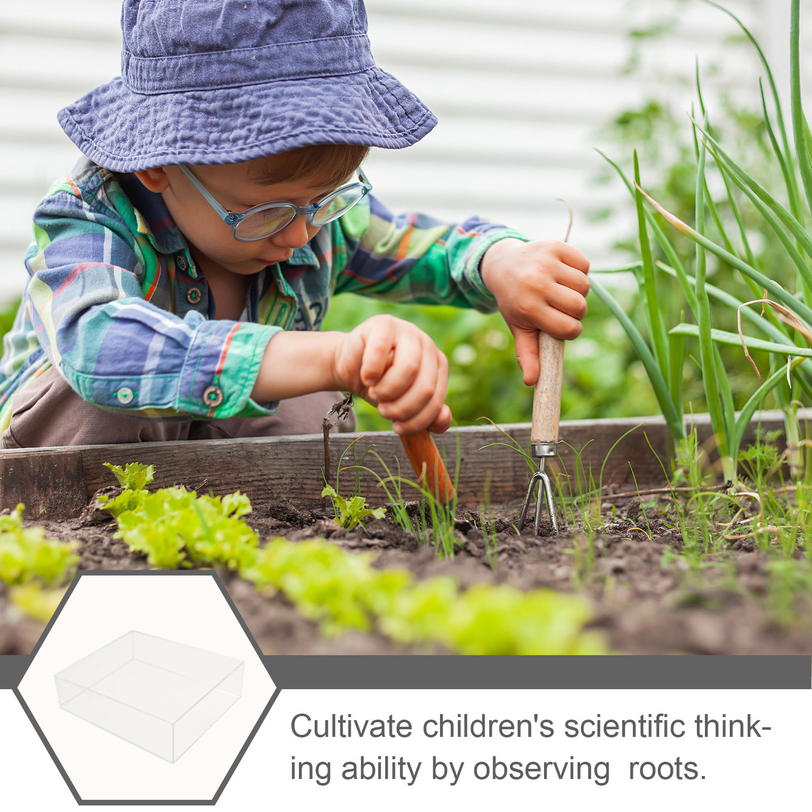 Kids Root Viewer Growing Plant - مراجعة Plant Parenting وسعره