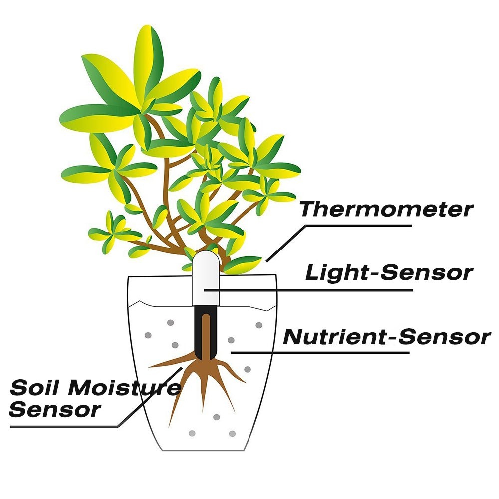 HHCC Flower Care Max Smart Pla - مراجعة Plant Parent App وسعره