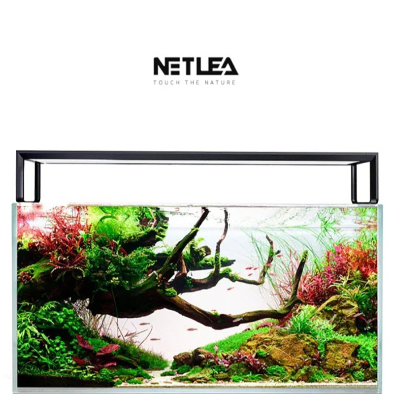 Netlea AT5S V3 Smart Wifi APP  - مراجعة Plant Parent App وسعره