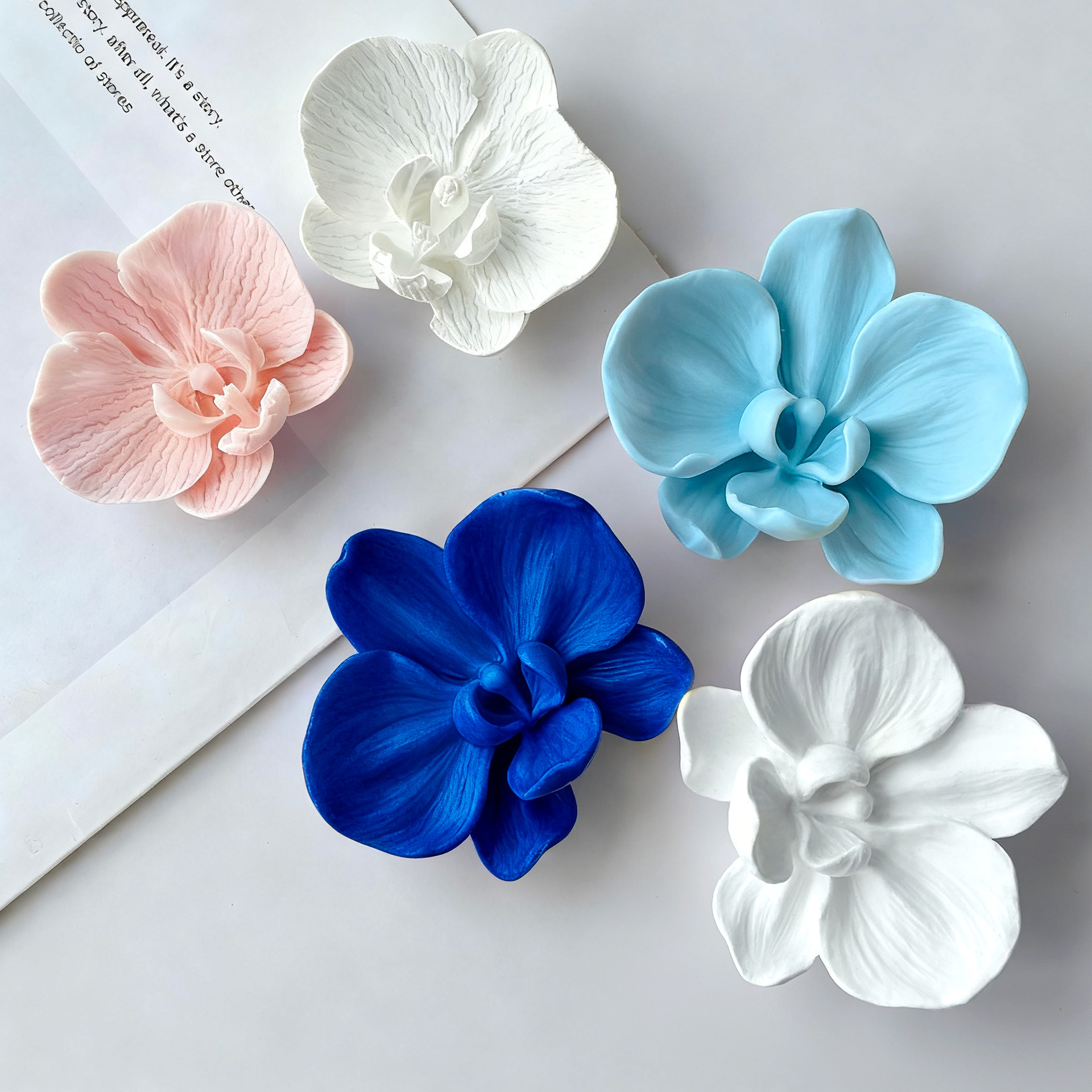 DIY Phalaenopsis Orchid Flower - مراجعة Orchid Phalaenopsis وسعره