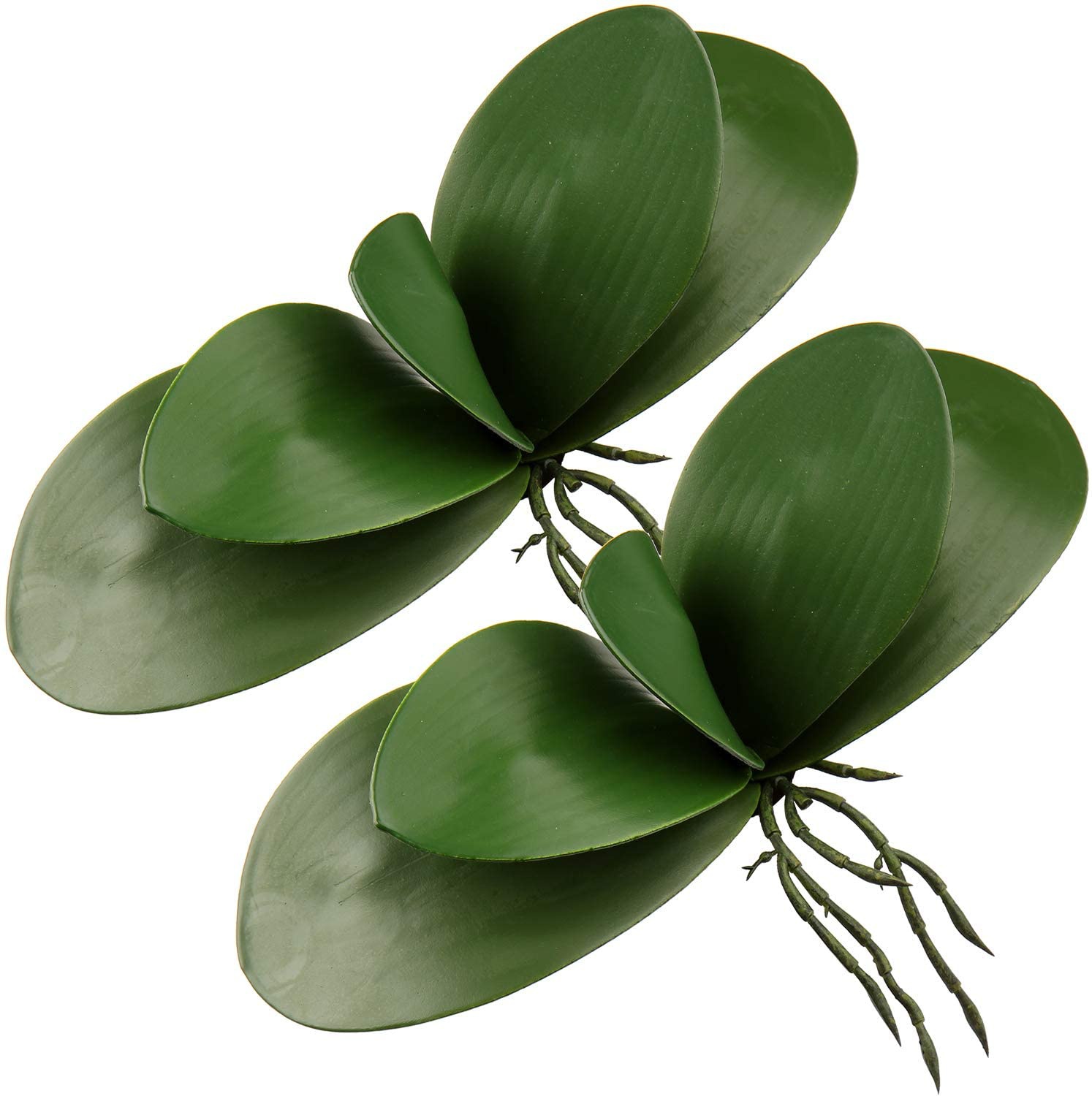 Artificial Phalaenopsis Leaves - مراجعة Orchid Phalaenopsis وسعره