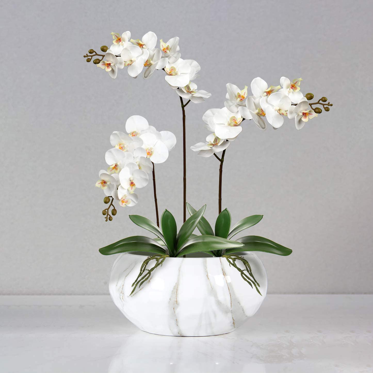 Artificial Phalaenopsis Leaves - مراجعة Orchid Phalaenopsis وسعره