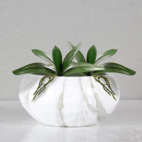Artificial Phalaenopsis Leaves - مراجعة Orchid Phalaenopsis وسعره