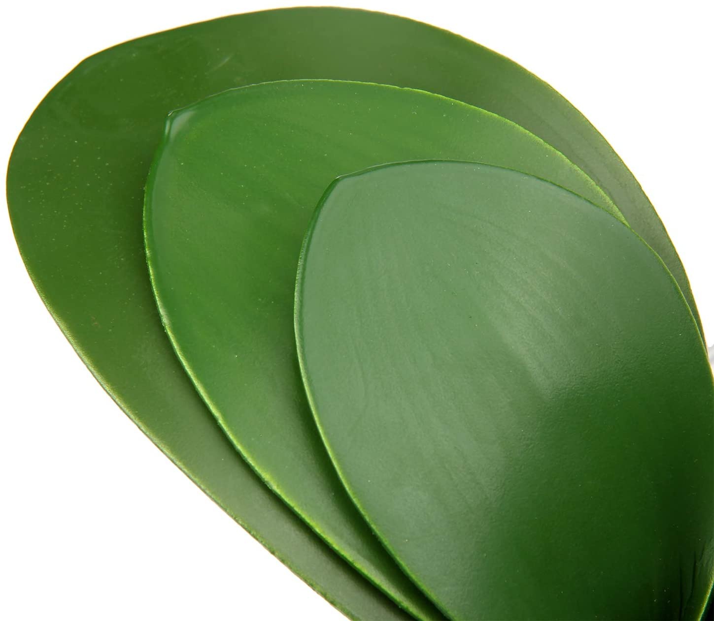 Artificial Phalaenopsis Leaves - مراجعة Orchid Phalaenopsis وسعره