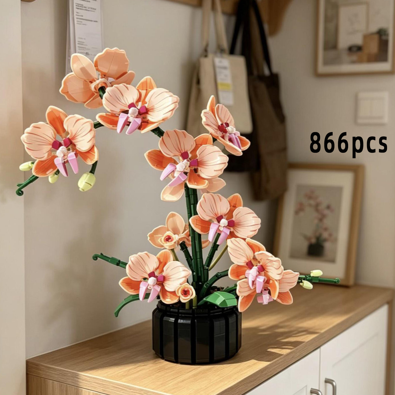 Orange Phalaenopsis Orchid Bui - مراجعة Orchid Phalaenopsis وسعره