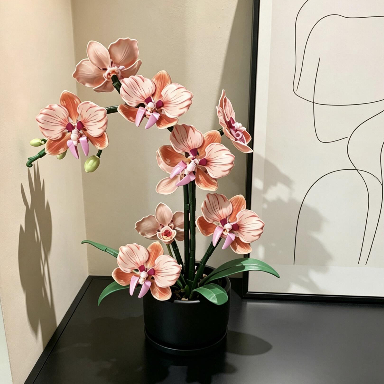 Orange Phalaenopsis Orchid Bui - مراجعة Orchid Phalaenopsis وسعره