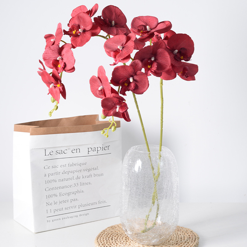 2pc 36cm Phalaenopsis Silk Clo - مراجعة Orchid Phalaenopsis وسعره