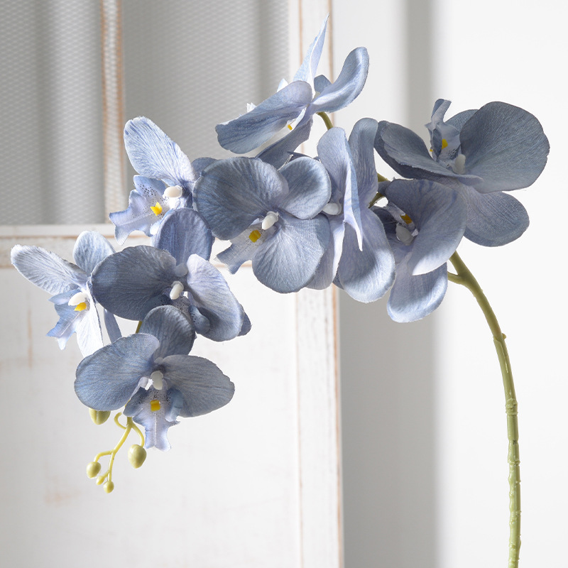 2pc 36cm Phalaenopsis Silk Clo - مراجعة Orchid Phalaenopsis وسعره