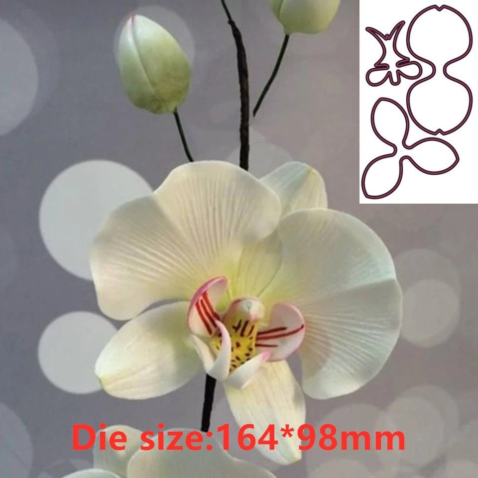 Orchid Flower Metal Cut Dies S - مراجعة Orchid Phalaenopsis وسعره