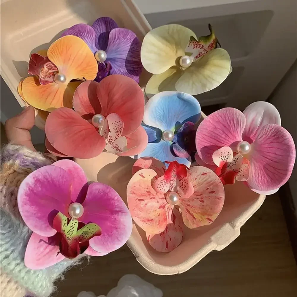 Phalaenopsis Pearl Hair Clip O - مراجعة Orchid Phalaenopsis وسعره