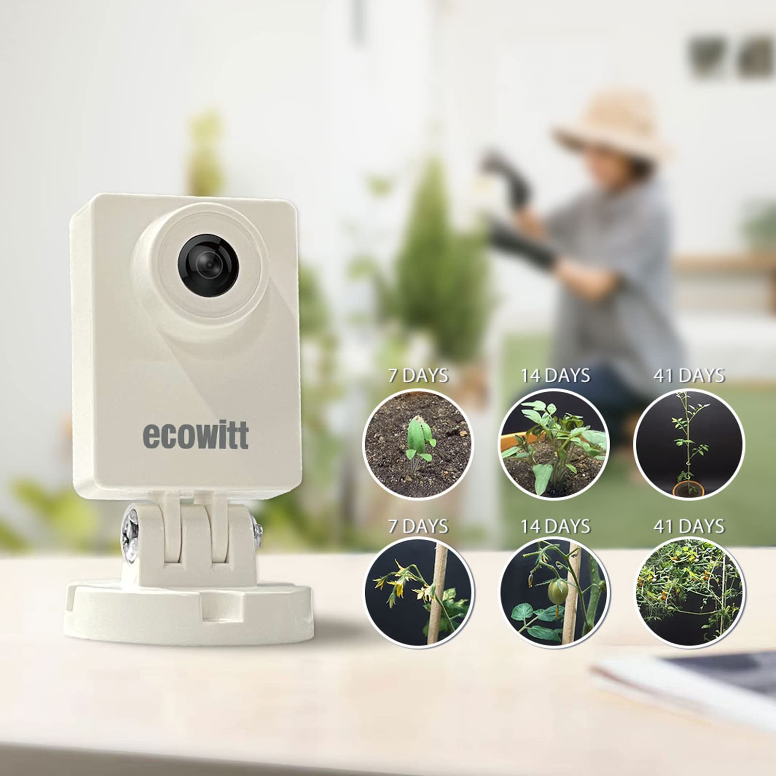 Ecowitt HP10 WittCam Outdoor W - مراجعة Plant Parent App وسعره