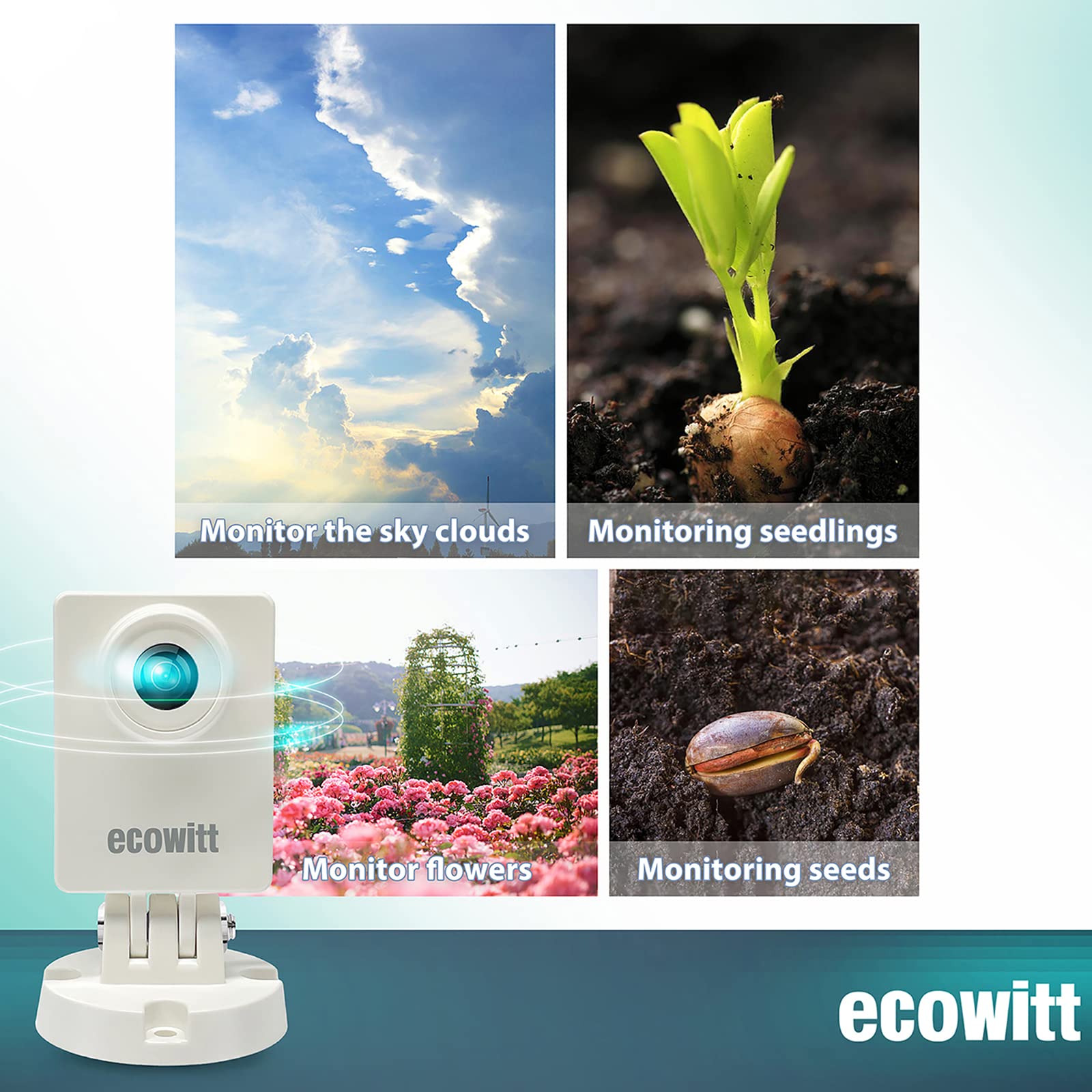 Ecowitt HP10 WittCam Outdoor W - مراجعة Plant Parent App وسعره