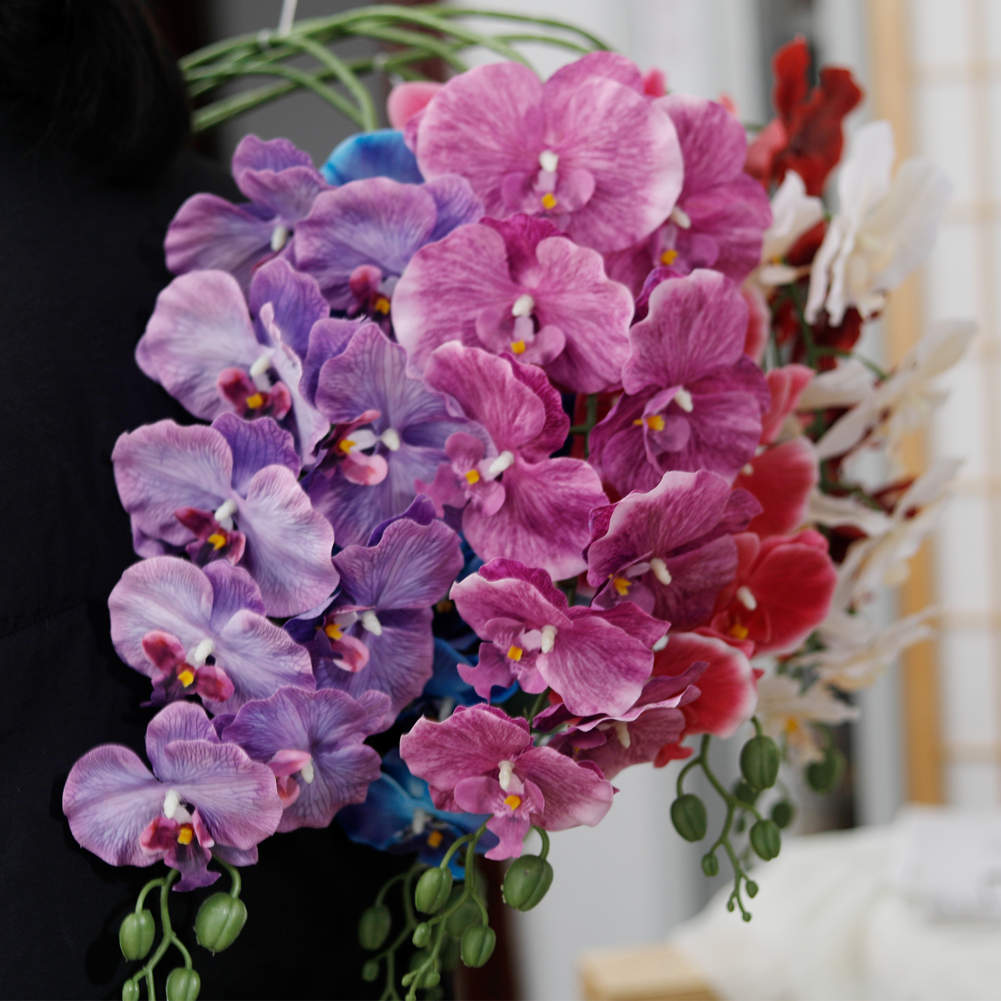 Long Branch Butterfly Orchids  - مراجعة Orchid Phalaenopsis وسعره
