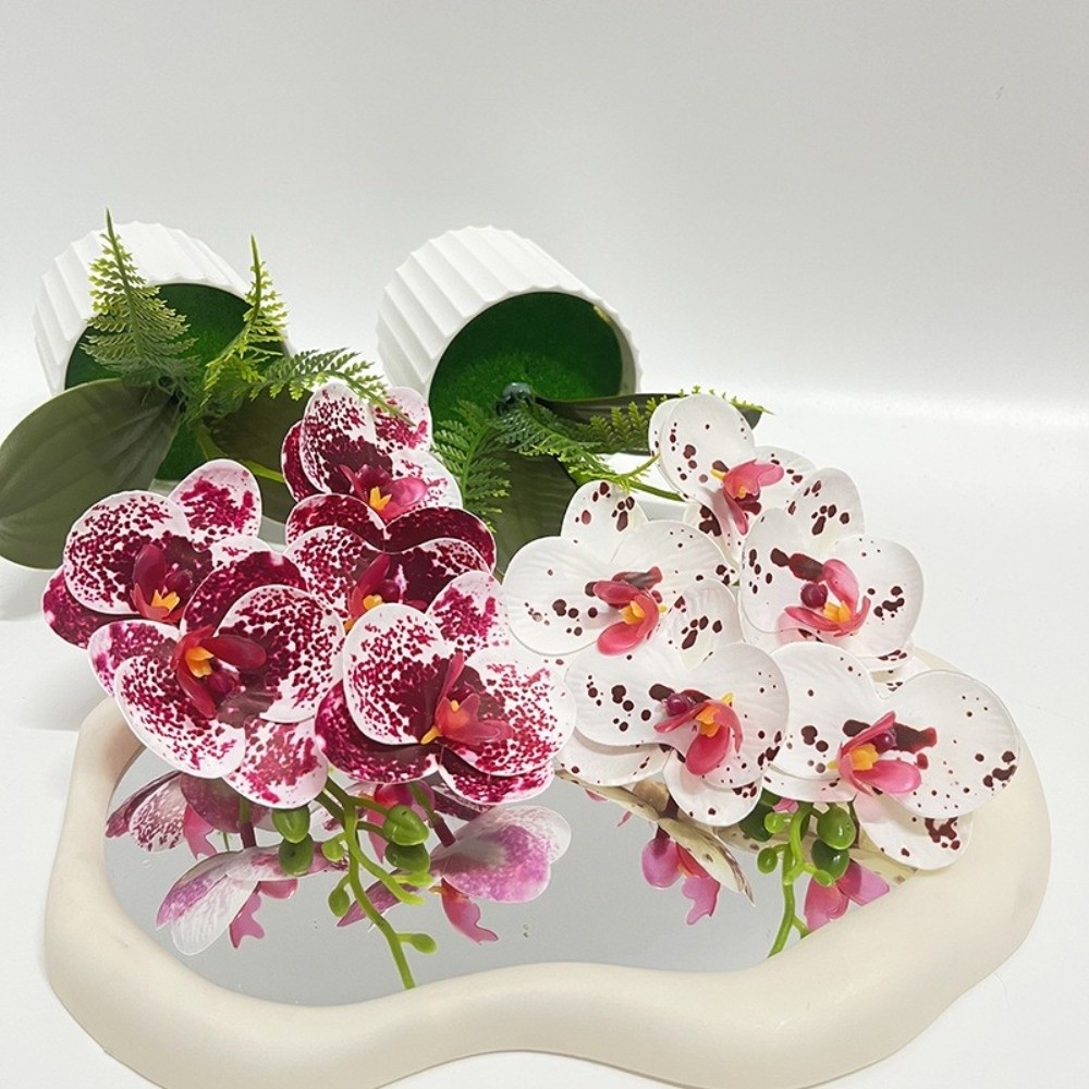 Multi-Bloom Simulated Butterfl - مراجعة Orchid Phalaenopsis وسعره
