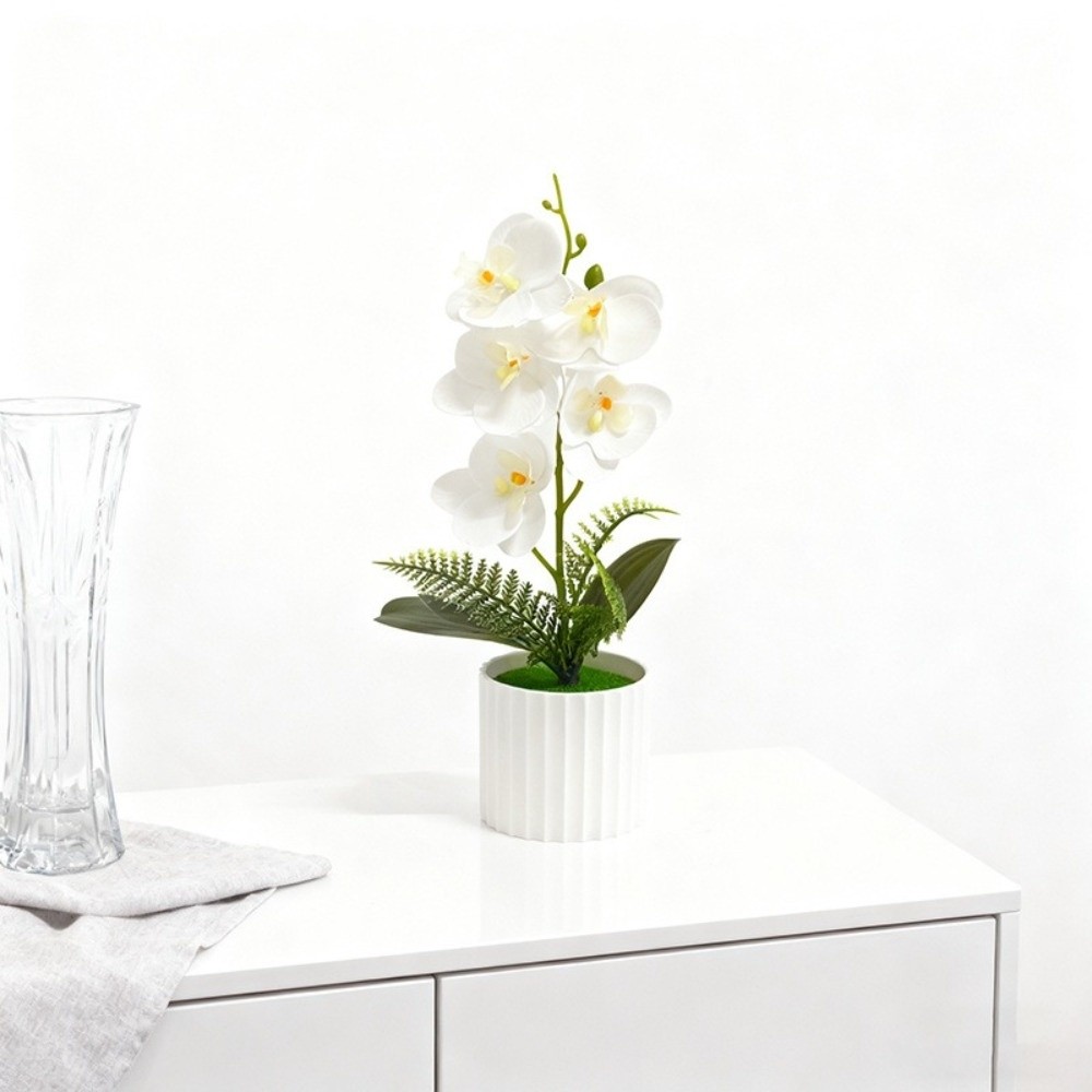Multi-Bloom Simulated Butterfl - مراجعة Orchid Phalaenopsis وسعره