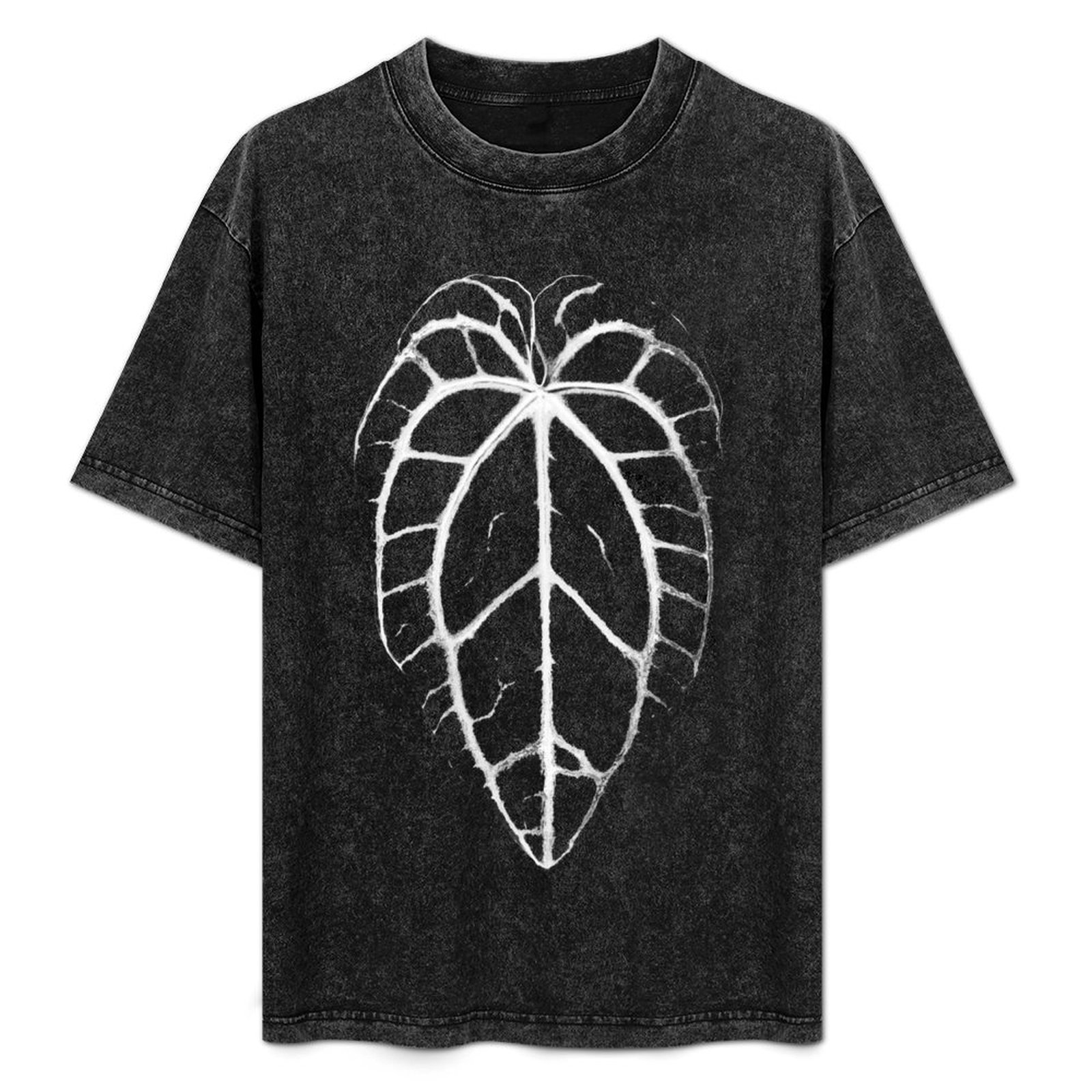 ANTHURIUM CRYSTALLINUM VEINS T - مراجعة Anthurium Crystallinum وسعره