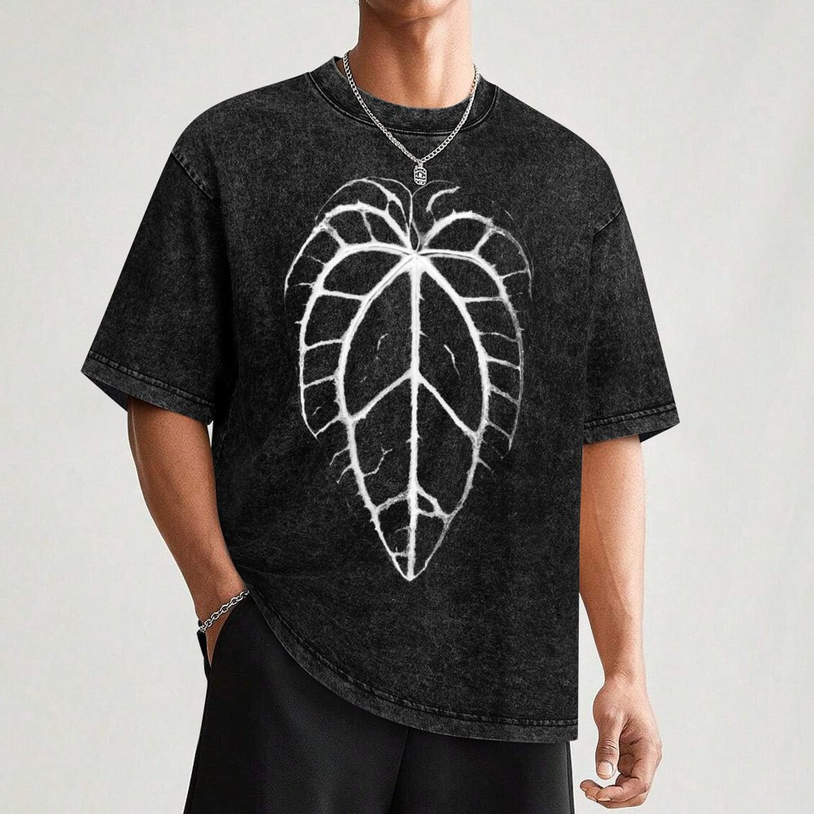 ANTHURIUM CRYSTALLINUM VEINS T - مراجعة Anthurium Crystallinum وسعره