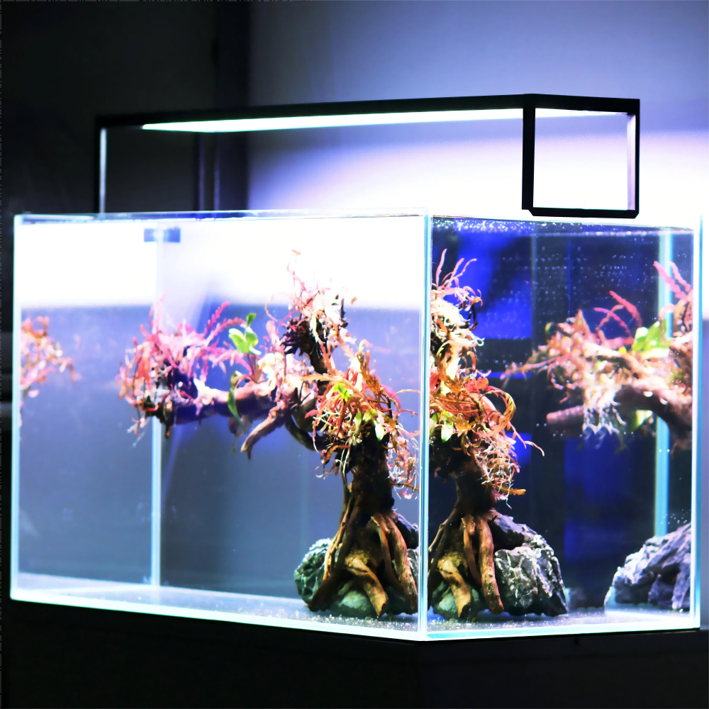 LED Aquarium light MICMOL Extr - مراجعة Plant Parent App وسعره