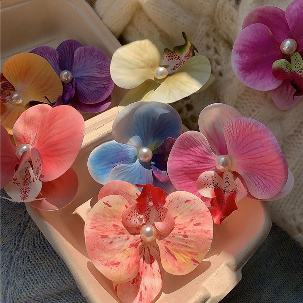 1Pcs Duckbill Clip Orchid Butt - مراجعة Orchid Phalaenopsis وسعره