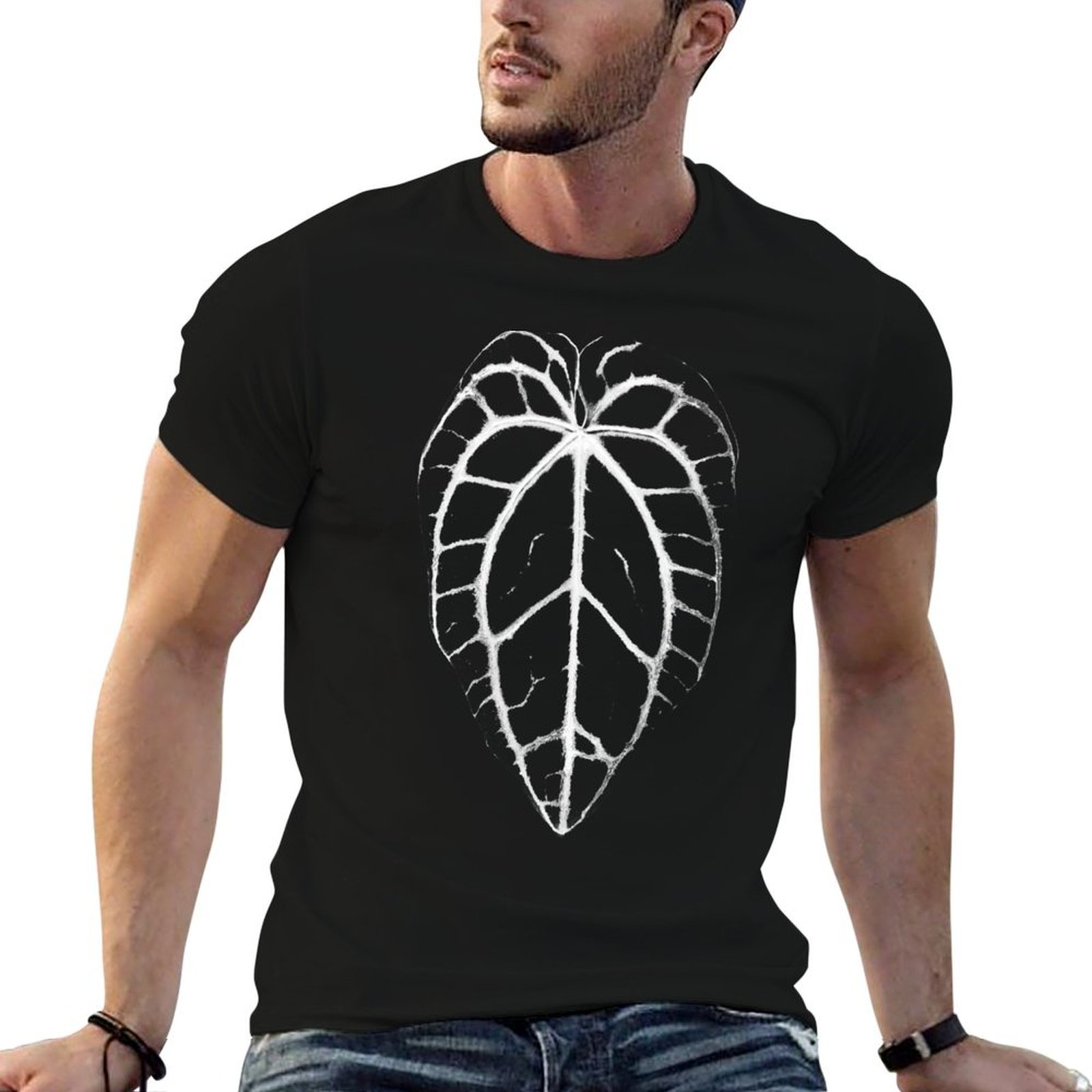 ANTHURIUM CRYSTALLINUM VEINS T - مراجعة Anthurium Crystallinum وسعره