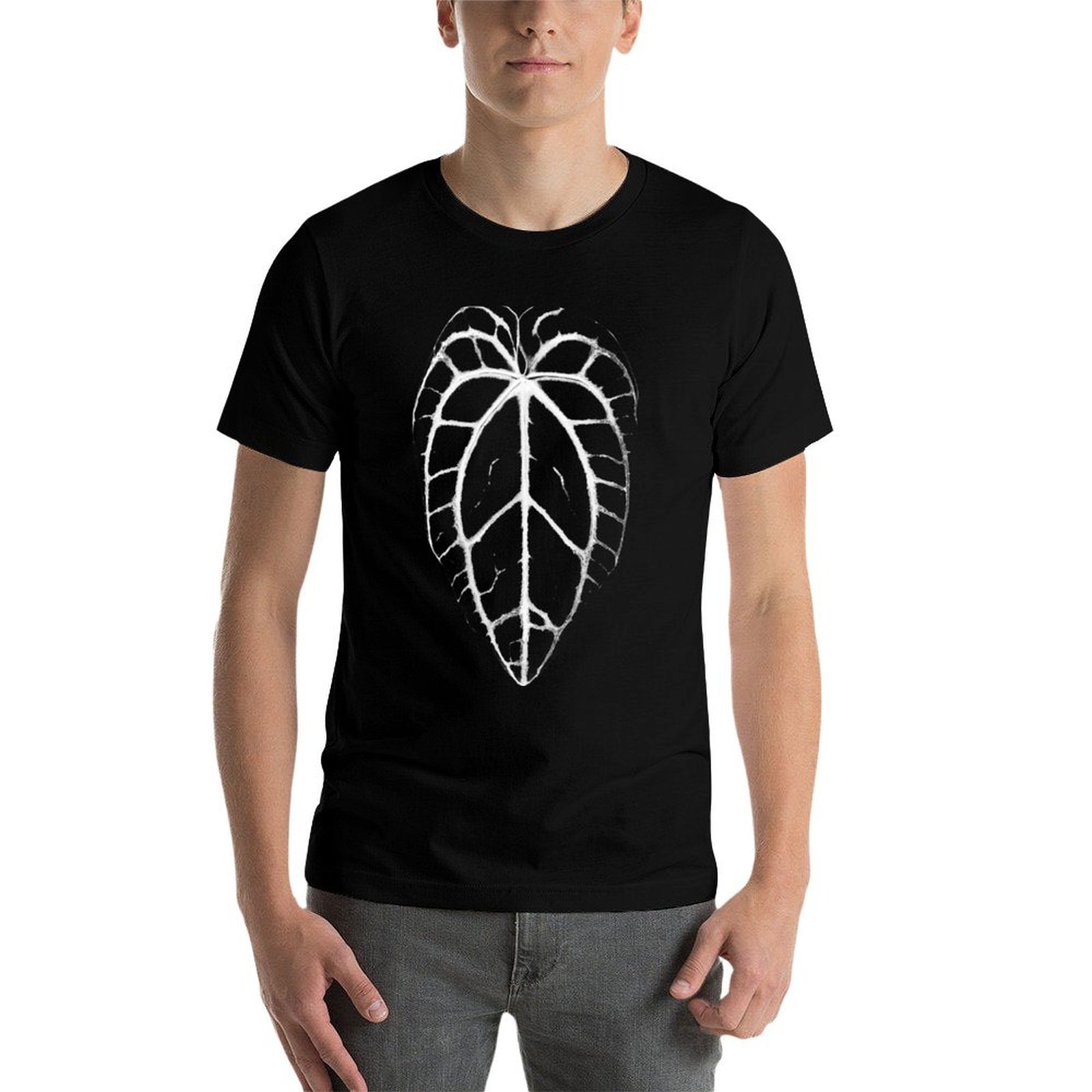 ANTHURIUM CRYSTALLINUM VEINS T - مراجعة Anthurium Crystallinum وسعره