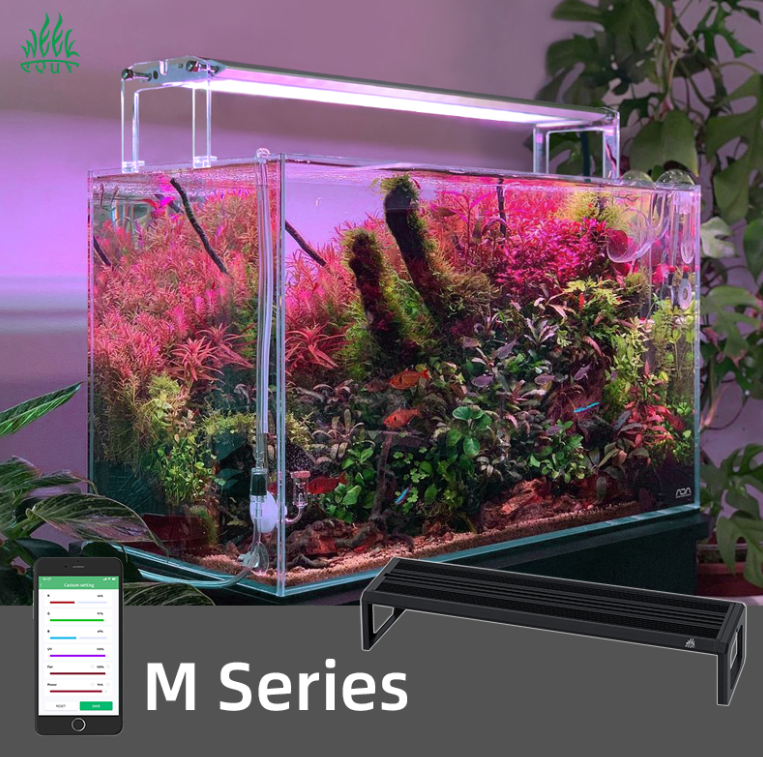 WEEK AQUA M Series 400mm Aquar - مراجعة Plant Parent App وسعره