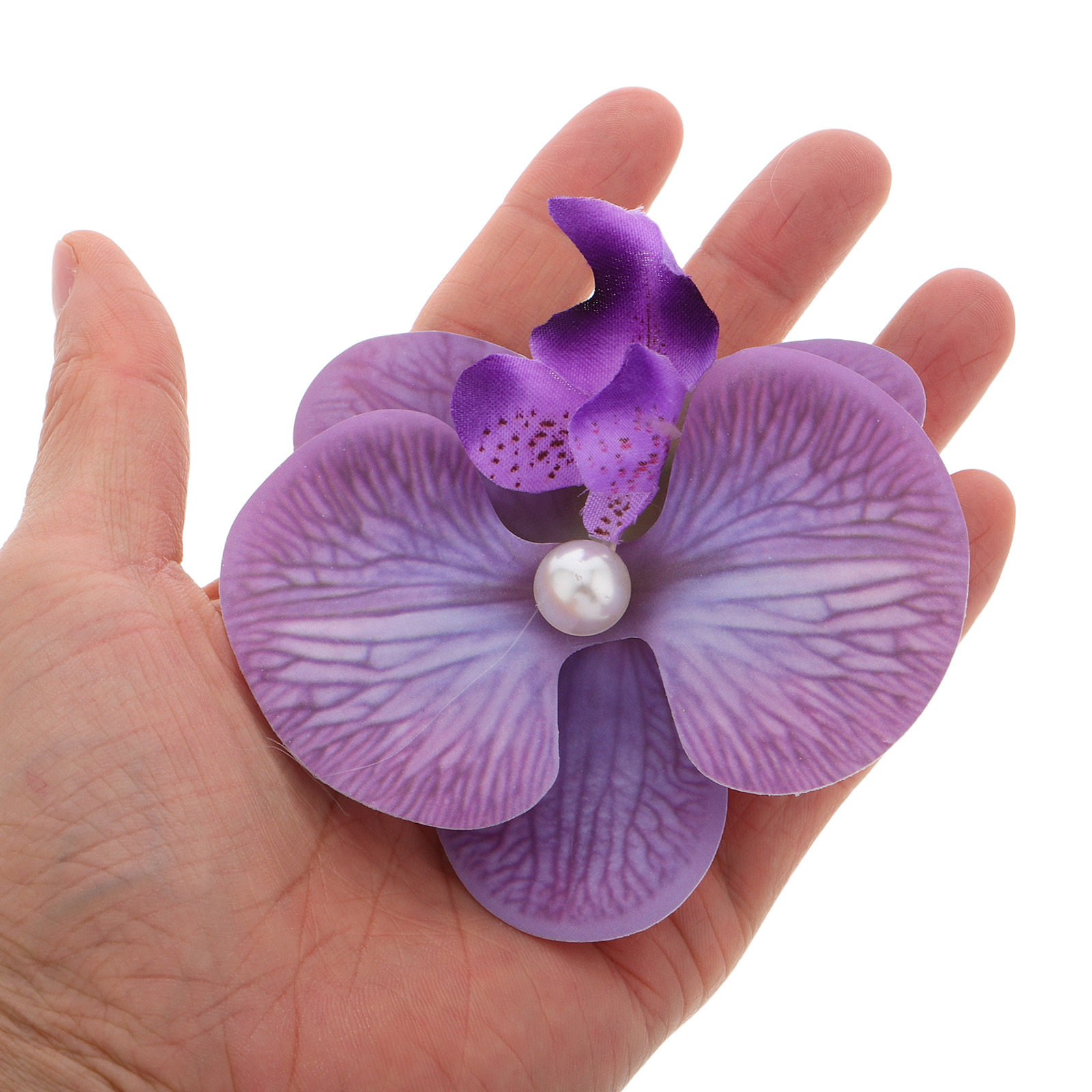 6Pcs Hawaiian Orchid Hair Clip - مراجعة Orchid Phalaenopsis وسعره