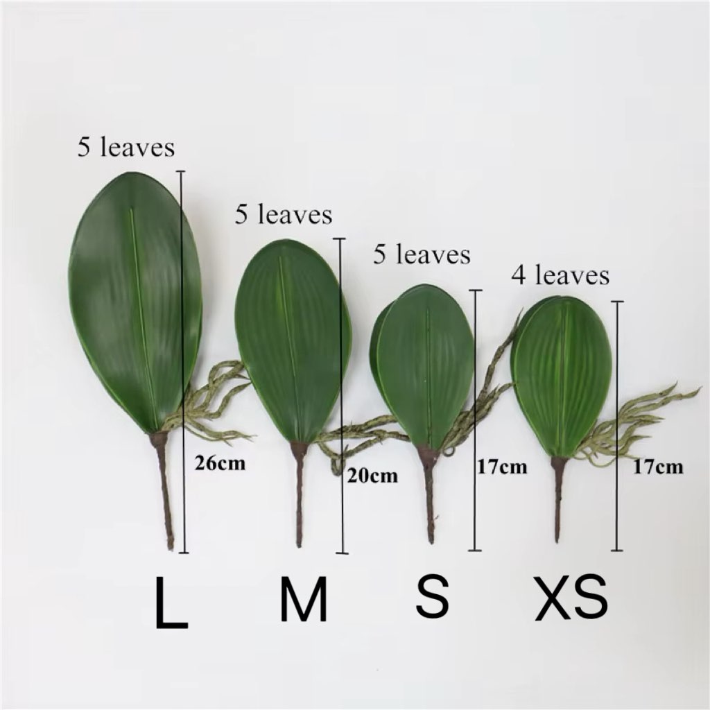 5 pieces of imitation orchid l - مراجعة Orchid Phalaenopsis وسعره